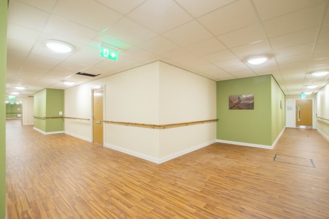 Picture of one of the corridors with light sage green walls. 